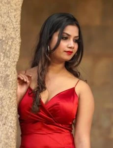 call girl service in Narkhed